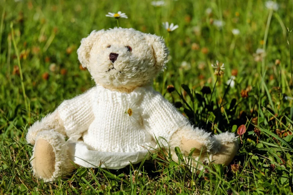 Journée internationale des oursons en peluche