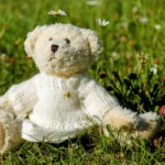 Journée internationale des oursons en peluche