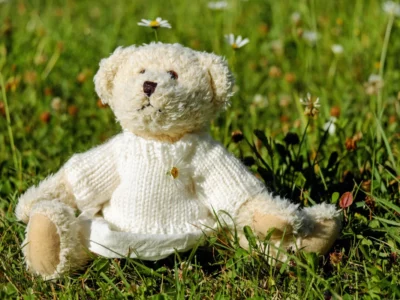 Journée internationale des oursons en peluche