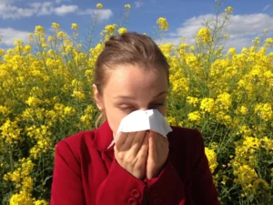 Allergies au pollen, graminés