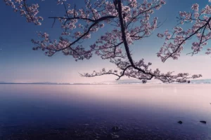 Lac Kanenori Japon