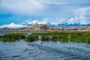 Lac Titicaca - Journée mondiale des lacs
