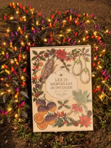 Calendrier de l'Avent original