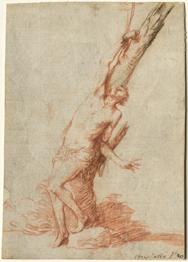 Saint Sébastien : Sébastien attaché à un arbre, le regard levé, dans une étude à la sanguine de Ribera.
